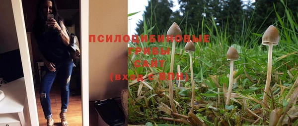 дмт Алексеевка