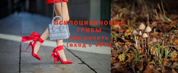 дурь Алексин