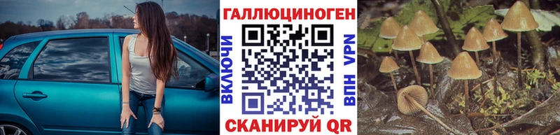Галлюциногенные грибы Psilocybine cubensis  где купить наркоту  Истра 