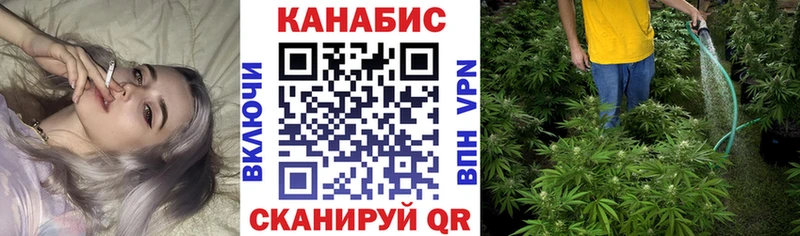 МАРИХУАНА сатива  Истра 